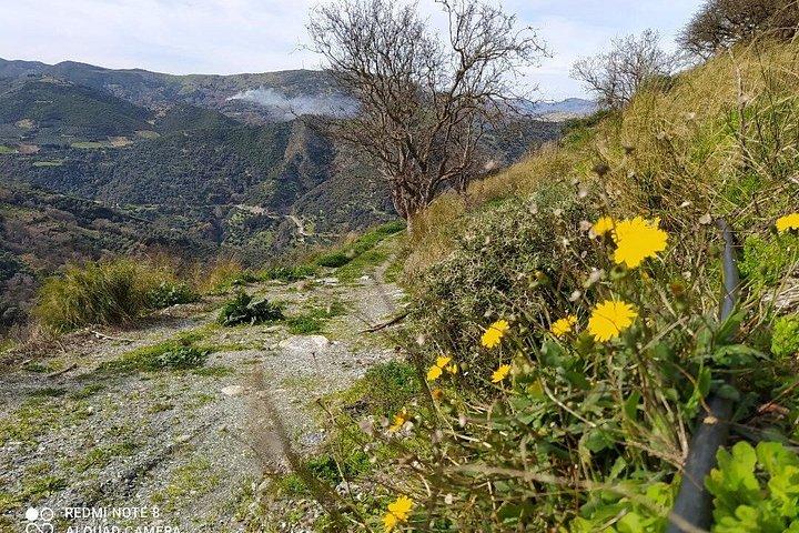 Van Tour med vandring i Chania bergen
