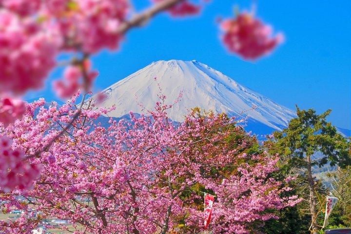 Cozinhar Hoto Udon Noodle Tour na área de Mt.Fuji a partir de Tóquio