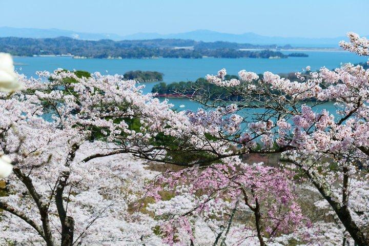Dagstur Matsushima med kuletog fra Tokyo