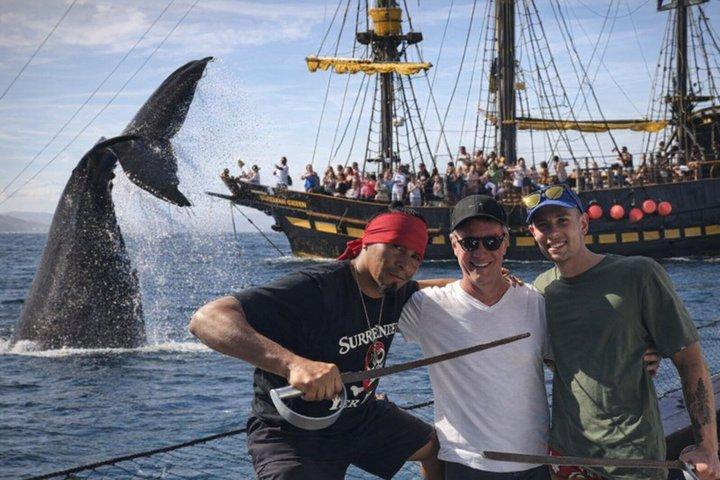 Wale und Märchen Frühstückstour Walbeobachtung in Cabo