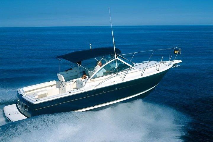 Cinque Terre & Portofino Private Luxury Boat Tour from La Spezia