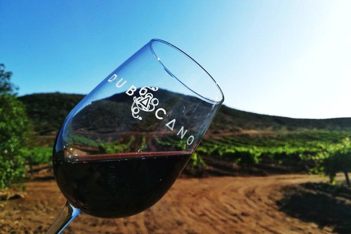 Tour Privado Vineyards – Degustações e Almoço Incluído