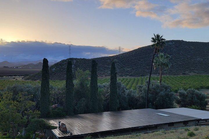 Tour Privado Vineyards – Degustações e Almoço Incluído