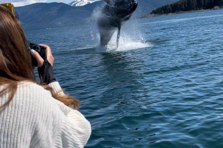 プライベートジュノーアドベンチャーホエールウォッチングカヤックと氷河ビュー