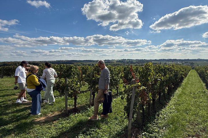 Escursione di mezza giornata da Bordeaux a Saint-Émilion con degustazione di vini.