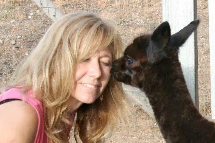 Alpaca Experience in El Cajon California