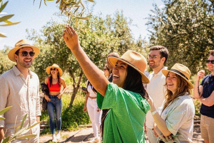 Mendoza Private Full Day: Olive Oil, Wine & Asado + Transfer