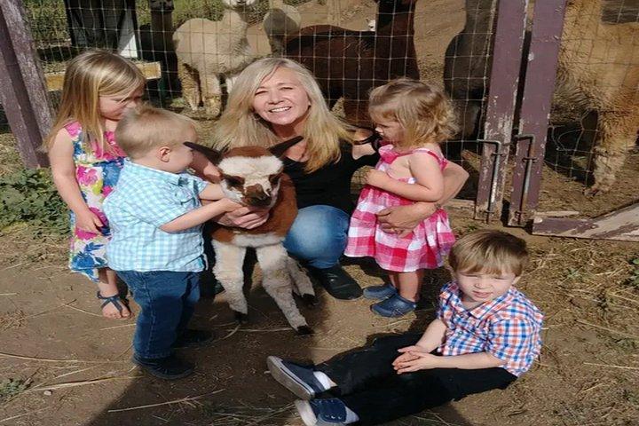 Alpaca Experience in El Cajon California