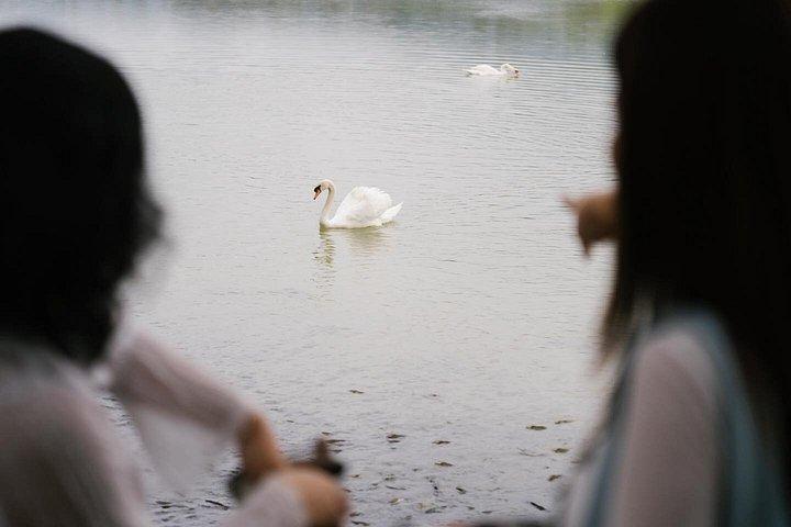 サンセット熱気球（ゴルフカート付き）