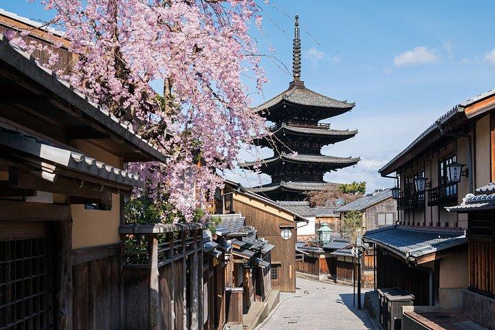 京都祇園ウォーキングツアー：芸者文化、pagoda、神社仏閣、日本酒