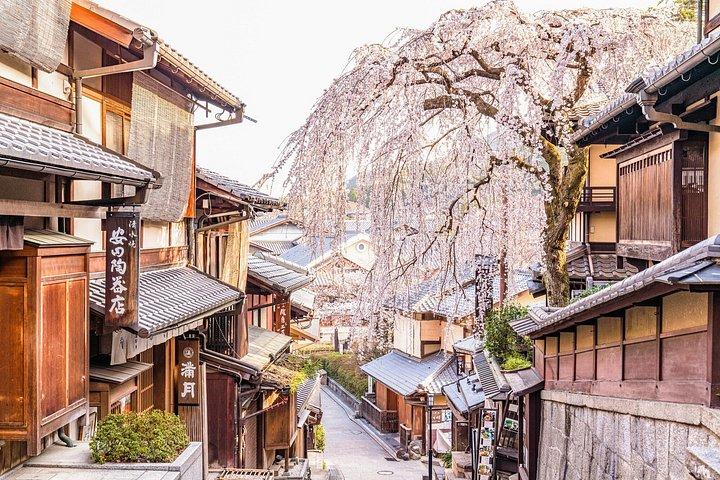 京都祇園ウォーキングツアー：芸者文化、pagoda、神社仏閣、日本酒