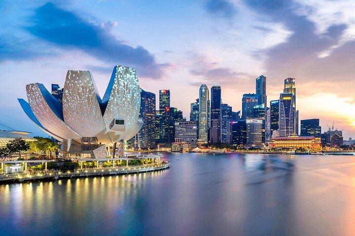 Billet pour le Futur Monde du Musée ArtScience de Singapour