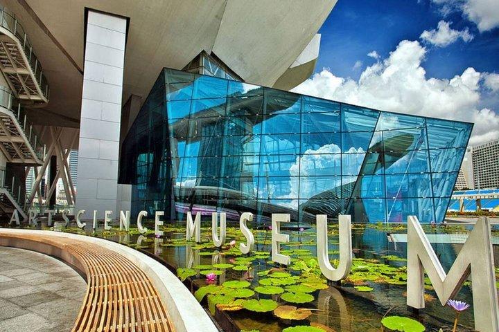 Singapore ArtScience Museum Bilhete para o Futuro Mundo