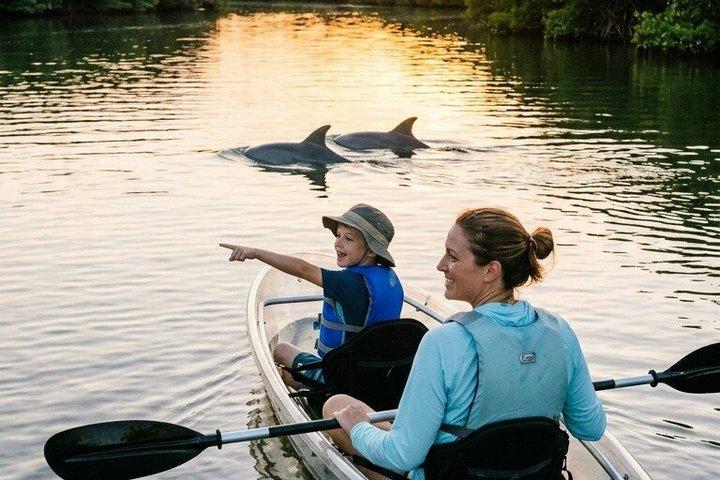 Delphin und Seekühe Clear Kayak oder Paddleboard Tour