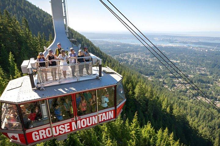 Capilano Suspe Bridge & Grouse Mountain Limited Kleingruppentour