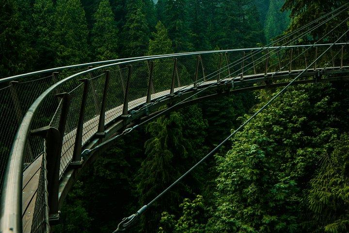 カピラノ吊橋付きバンクーバー小グループツアー