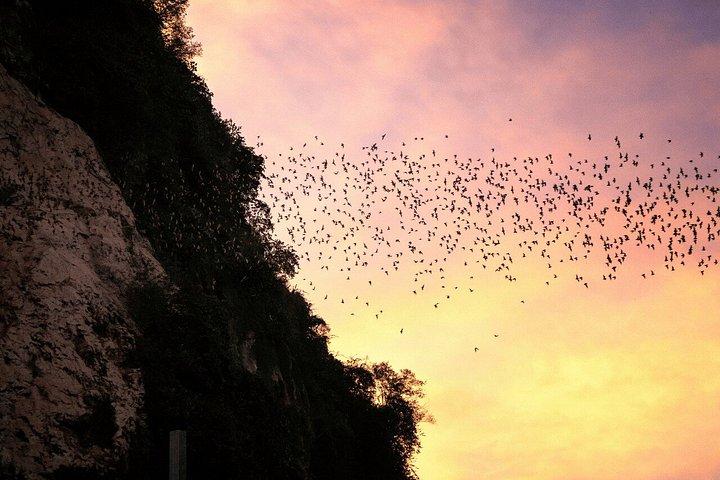 シェムリアップ発バッタンバン終日小グループツアー