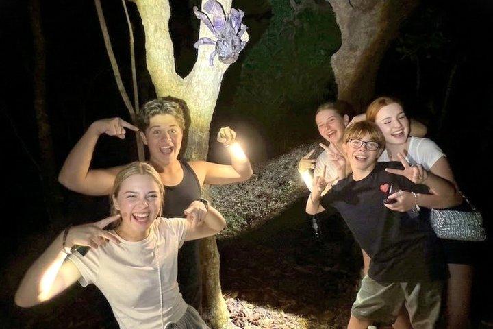 Okinawa Miyako Giungla Notturna Stellata e Tour della Fauna Selvatica con Pick Up