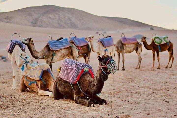 Agafay ökenmiddag med kamelritt från Marrakech Sunset Tour