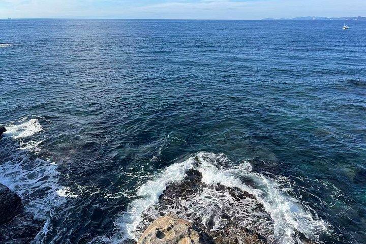 大阪沿岸小グループからの白浜日帰り旅行