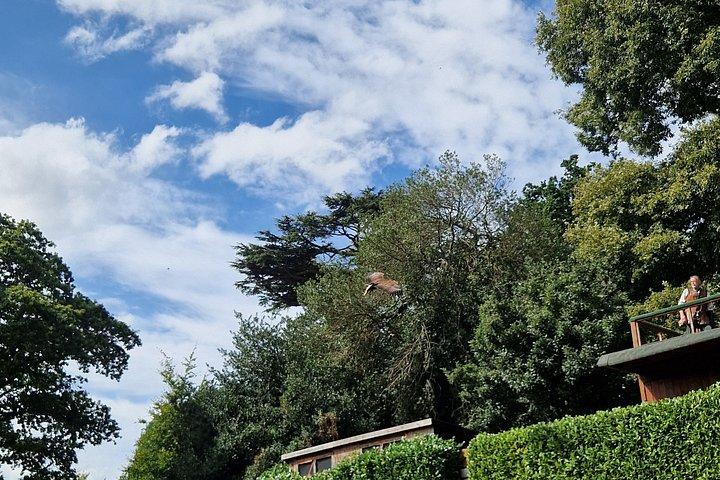 Shakespeare's England Warwick Castle og Cotswolds
