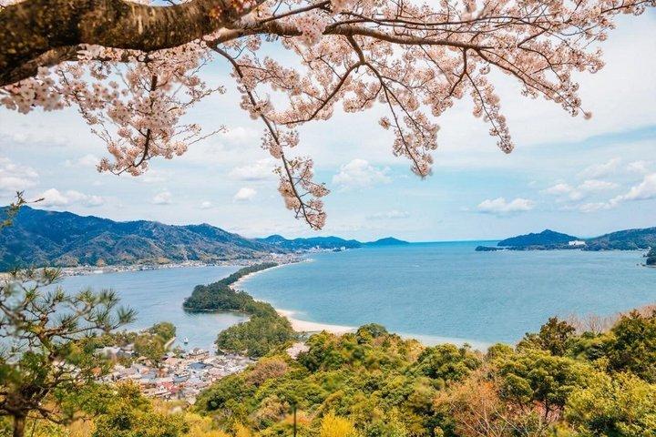 Amanohashidate and Ine Bay Private Trip from Kyoto