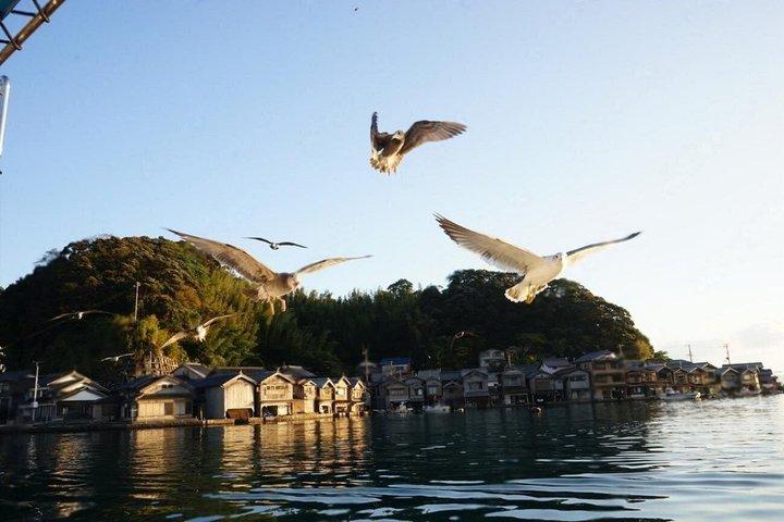Amanohashidate and Ine Bay Private Trip from Kyoto