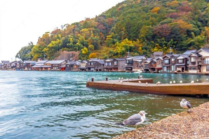 京都から天橋立と伊根湾プライベート旅行
