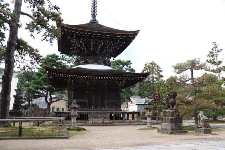 京都から天橋立と伊根湾プライベート旅行