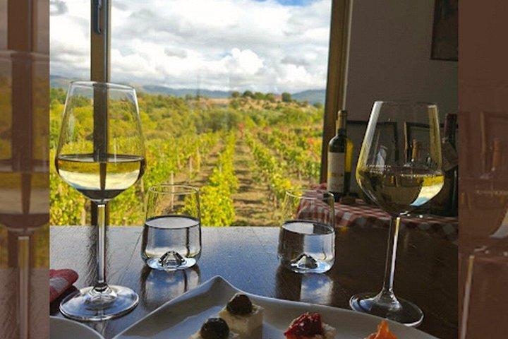 S&S Winery - Expérience de dégustation de vins à Ohrid