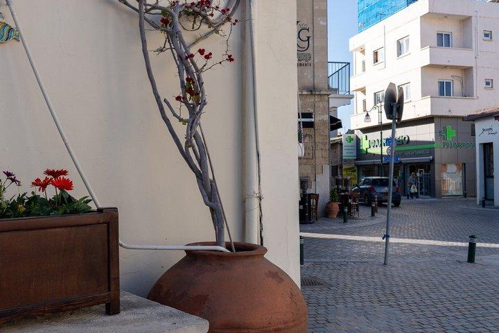 Grand Tour - Nicosia & Larnaca, from Limassol