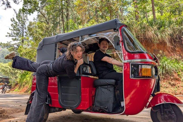 Treno da Ella a Nuwara Eliya & esperienza Tuk-Tuk