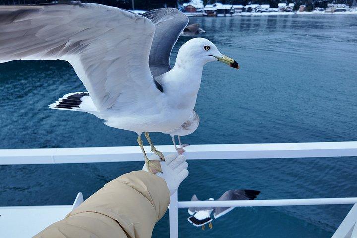 京都 大阪  амаの橋舘 稲富屋 稲湾 日帰りツアー