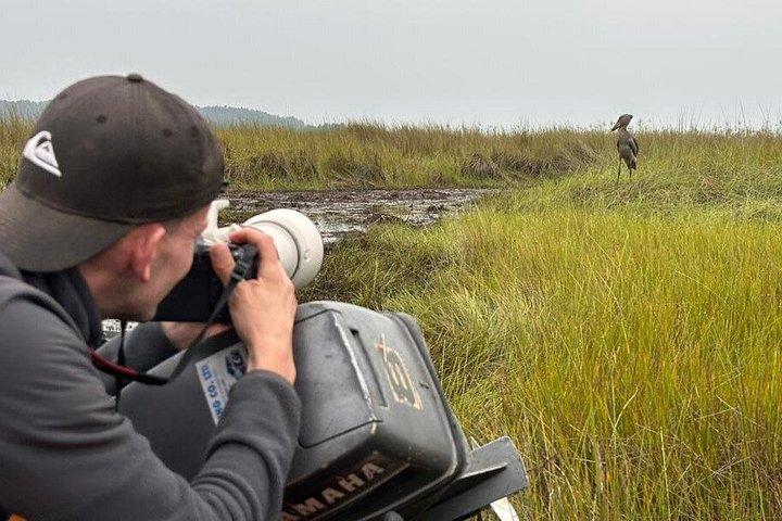 Mabamba Swamp Shoebill Tours
