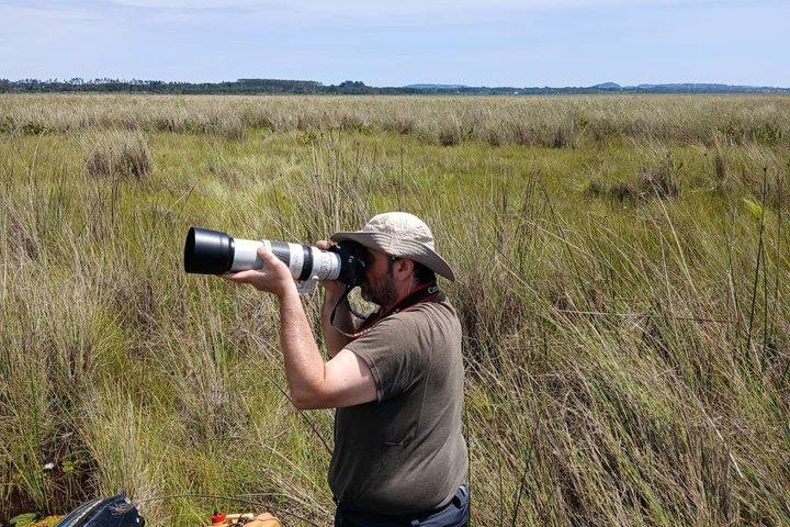 Mabamba Swamp Shoebill Tours