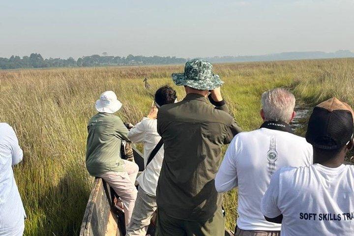 Mabamba Swamp Shoebill Tours