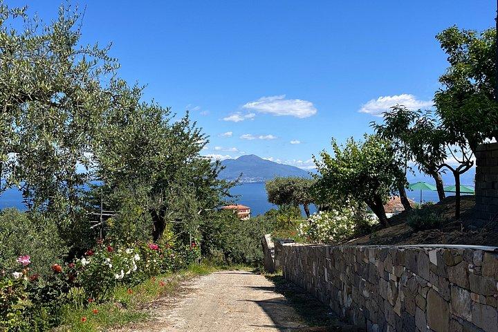 Sorrento: Cooking Class Under the Lemon Trees with view