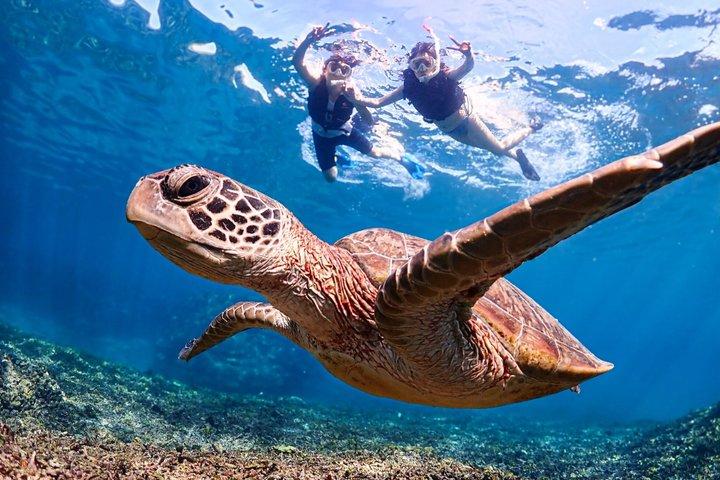 Okinawa Miyako Ultimate Day Trip SUP Snorkel Cave and Canoe