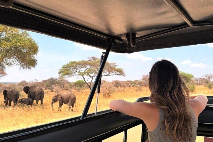 7 dagars safari. Serengeti, Tarangire, Lake Manyara och Ngorongoro-kratern.
