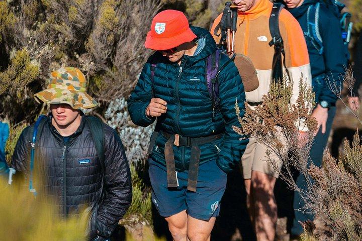 7 Days Machame route - Kilimanjaro