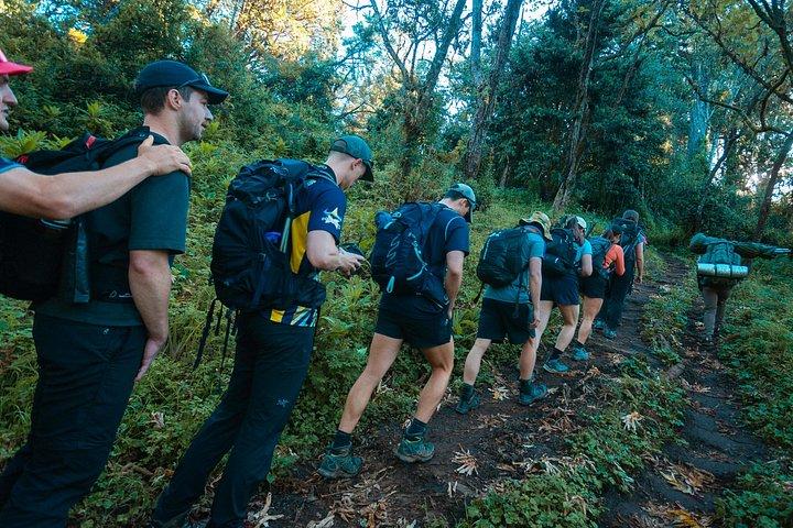 7 Days Machame route - Kilimanjaro