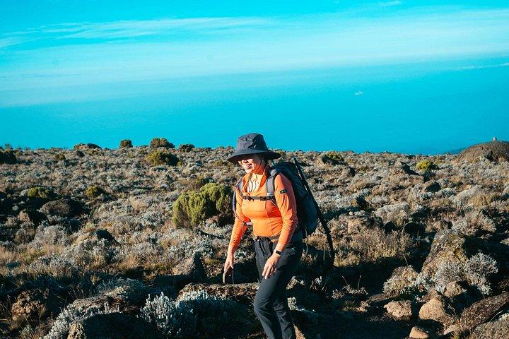 7 Days Machame route - Kilimanjaro