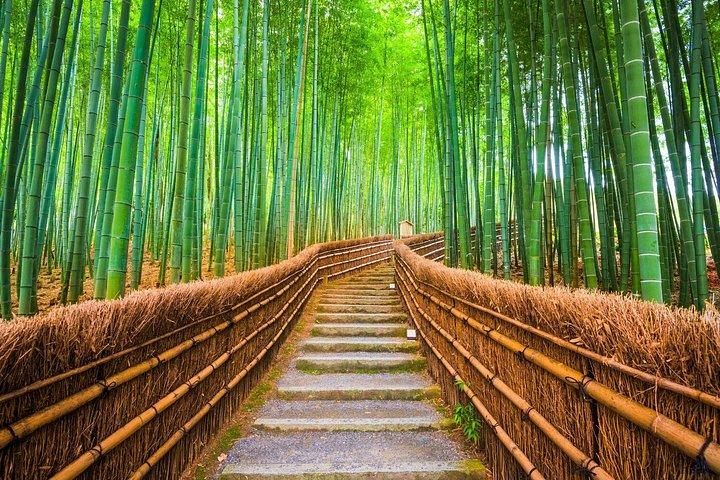 京都パーソナライズ体験デザインあなただけのプライベートツアー