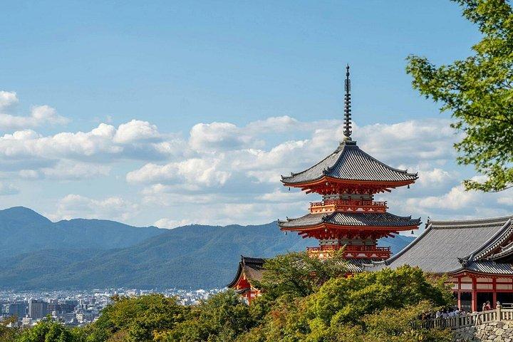 京都パーソナライズ体験デザインあなただけのプライベートツアー