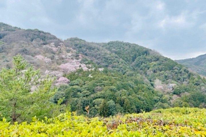 京都パーソナライズ体験デザインあなただけのプライベートツアー