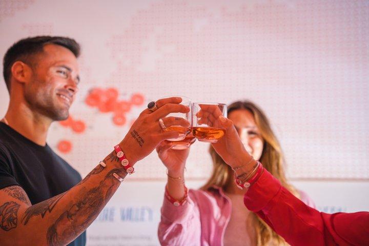 Porto : Taylor's Wine Cellar & WOW Day Pass