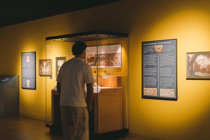 Porto: Taylor's Wine Cellar & WOW Day Pass