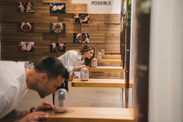 Porto : Taylor's Wine Cellar & WOW Day Pass