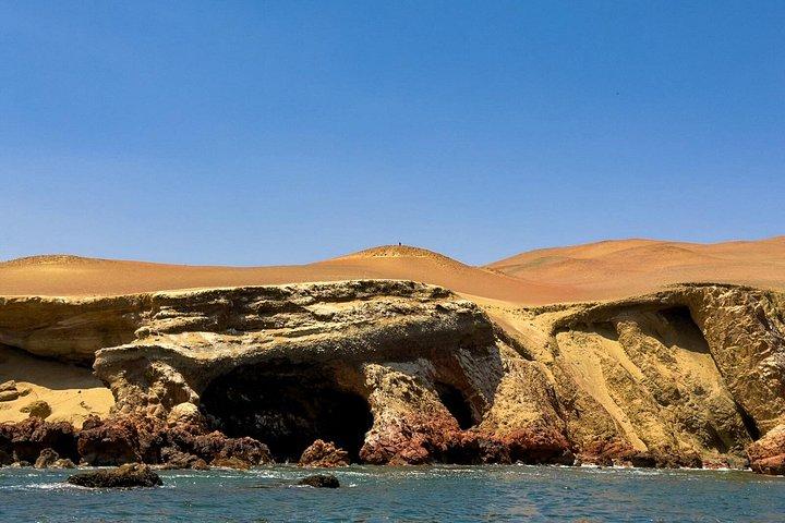 リマ発：パラカス、バレスタス諸島、ワカチナ、すべて込み