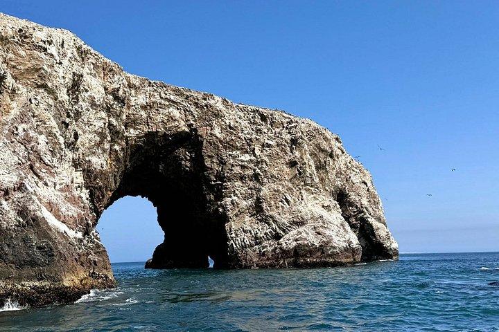 リマ発：パラカス、バレスタス諸島、ワカチナ、すべて込み